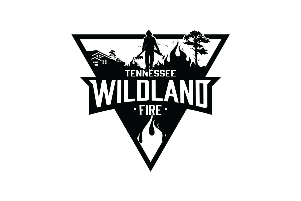 TDC Web Graphics_TNWFlogo